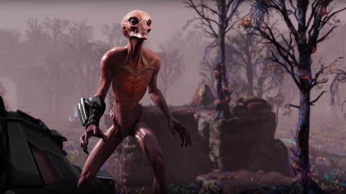 Operation Foolish Cobra