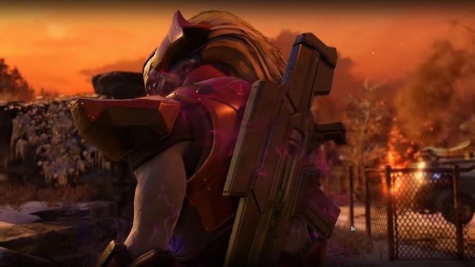 Operation Storm Witch